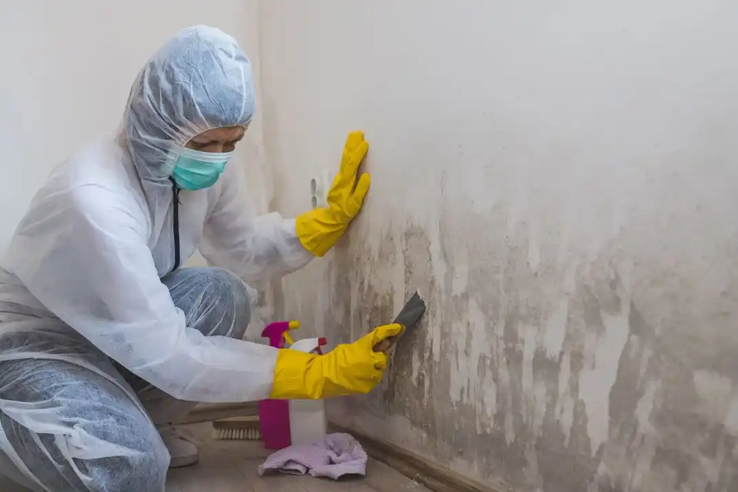 water damage restoration service Foust